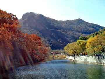 澳门天天免费精准大全，天津排水板